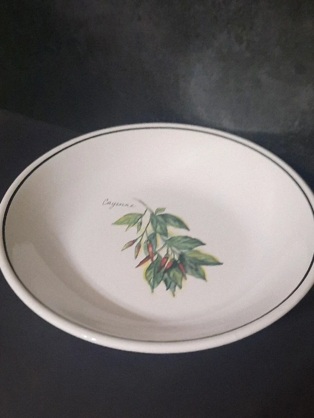 Vintage Williams Sonoma Culinary Herb Cayenne Bowl with White Base and Black Rim